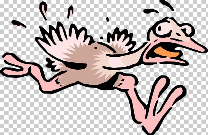 Common Ostrich Cartoon Graphics PNG, Clipart, Animated Film, Art, Artwork, Beak, Bird Free PNG Download