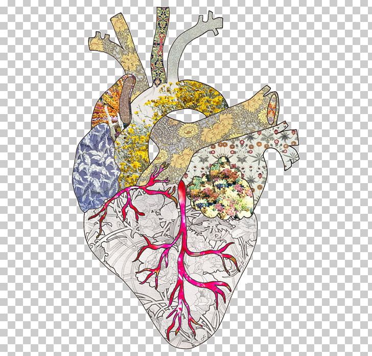 Heart Drawing Artist PNG, Clipart, Anatomy, Anatomy Art, Art, Artist, Art Museum Free PNG Download