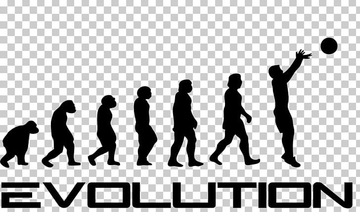 T-shirt Human Evolution Garrus Vakarian Homo Sapiens PNG, Clipart, Adaptation, Brand, Charles Darwin, Clothing, Commander Shepard Free PNG Download