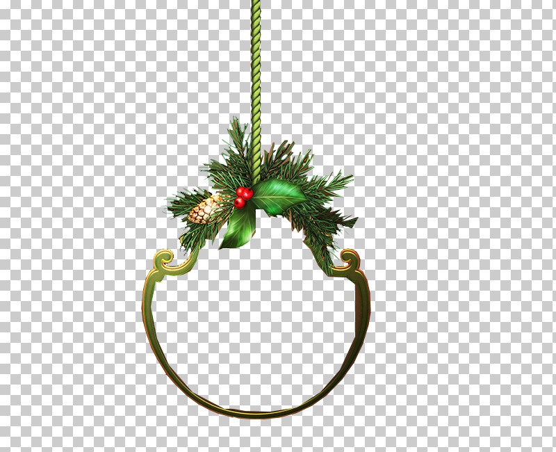Christmas Decoration PNG, Clipart, Christmas Decoration, Christmas Ornament, Fir, Holiday Ornament, Holly Free PNG Download