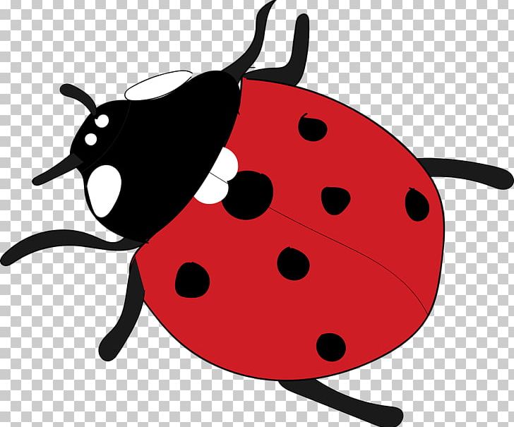 Ladybird Beetle PNG, Clipart, Animal, Animals, Artwork, Beetle, Insect Free PNG Download