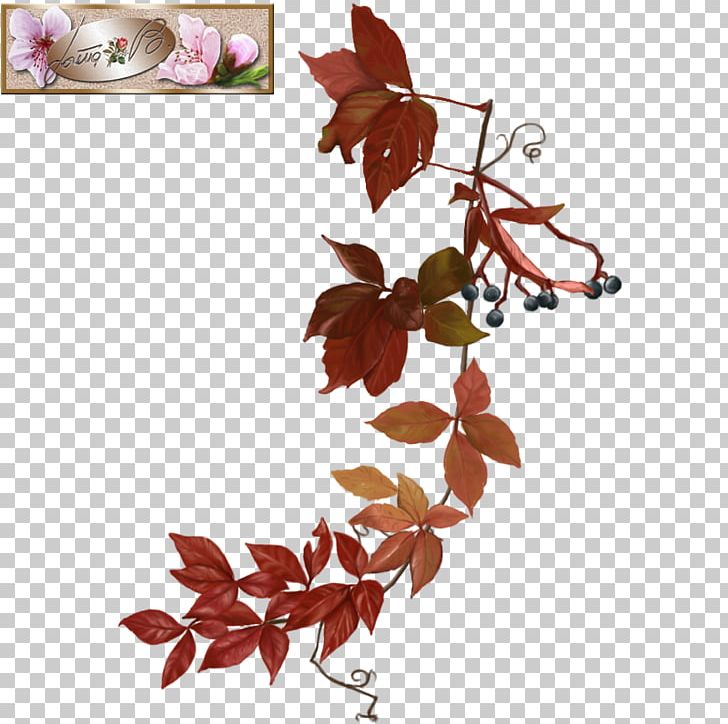 Petal Leaf Twig PNG, Clipart, Branch, Creative Christmas Sleigh, Flower, Leaf, Petal Free PNG Download
