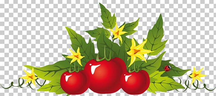 Tomato Soup Tomato Juice Vegetable PNG, Clipart, Bell Peppers And Chili Peppers, Flower, Food, Fruit, Fruit Vegetable Free PNG Download