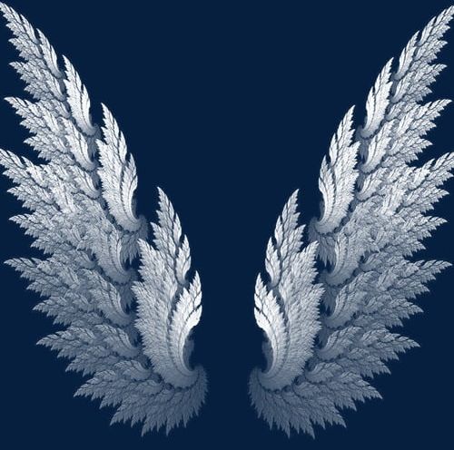 Wing PNG, Clipart, Angel, Element, Element Wings, Feather, Fly Free PNG Download