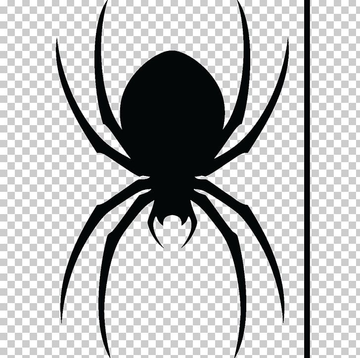 Spider Line Art Drawing Photography PNG, Clipart, Animal, Arachnid, Arthropod, Artwork, Black And White Free PNG Download