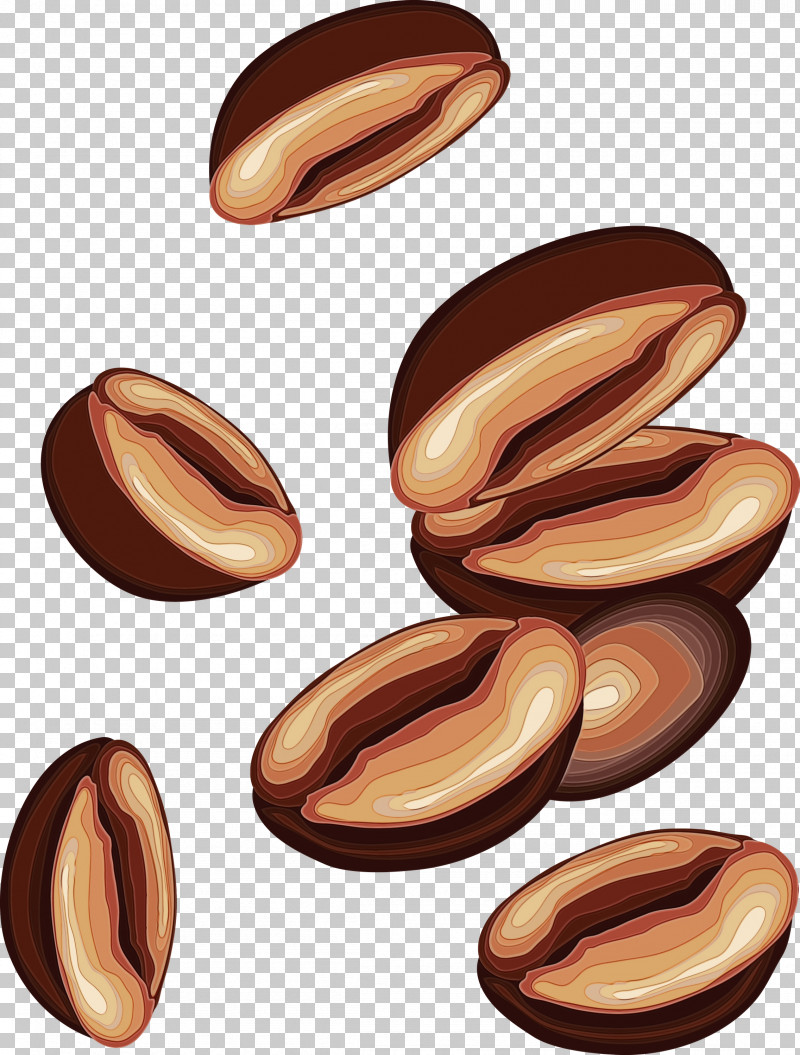 Nut Food Nuts & Seeds Plant Wood PNG, Clipart, Almond, Coffee Bean, Coffee Beans, Food, Nut Free PNG Download