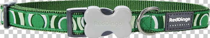 Dog Collar Dog Collar Green Dingo PNG, Clipart, Brand, Clothing Accessories, Collar, Dingo, Dog Free PNG Download
