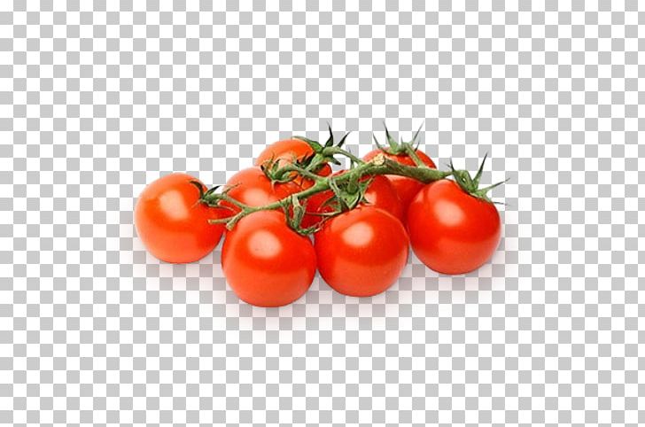 Frikadeller Cherry Tomato Salad Vegetable Cultivar PNG, Clipart,  Free PNG Download