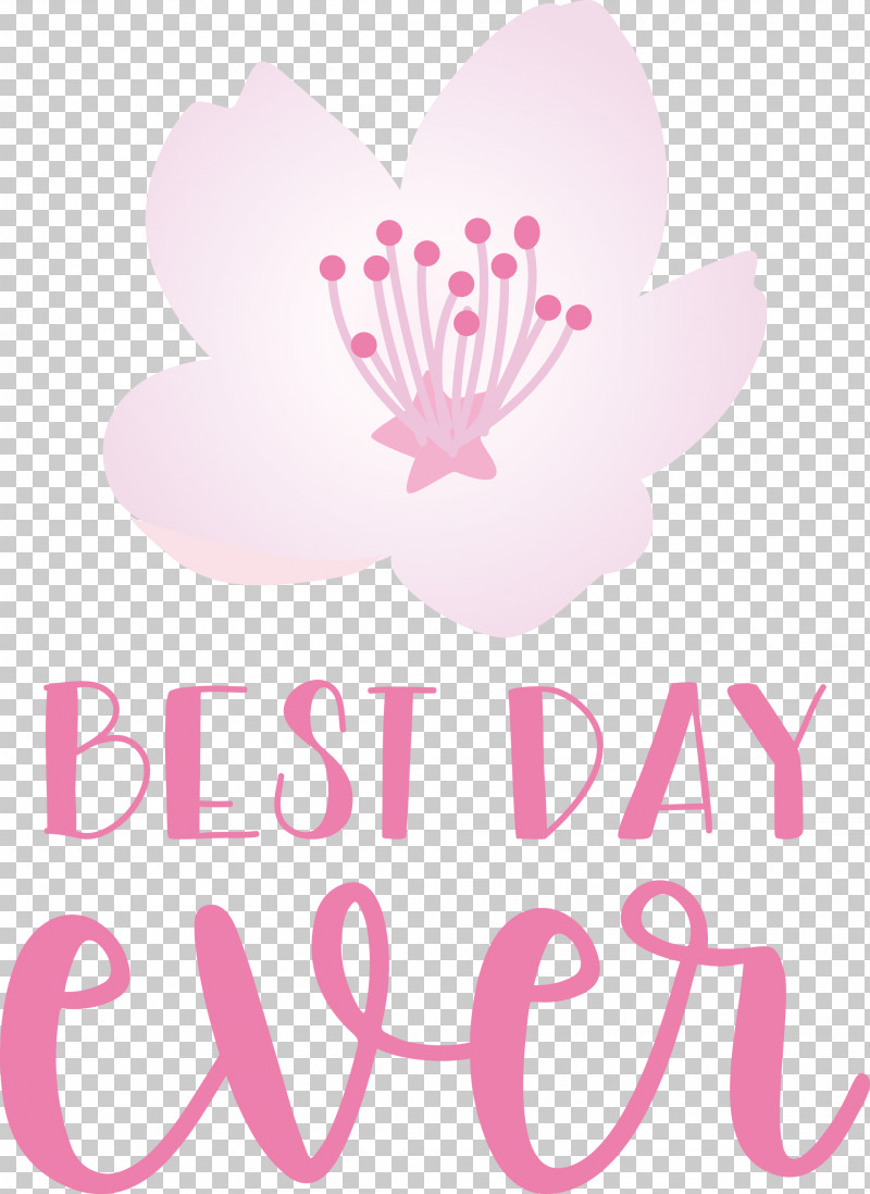 Best Day Ever Wedding PNG, Clipart, Best Day Ever, Biology, Cut Flowers, Floral Design, Flower Free PNG Download