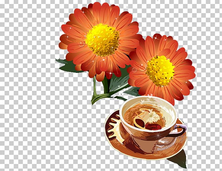 Chrysanthemum Transvaal Daisy Flower PNG, Clipart, Chrysanthemum, Chrysanthemum Chrysanthemum, Chrysanthemums, Daisy Family, Flower Free PNG Download