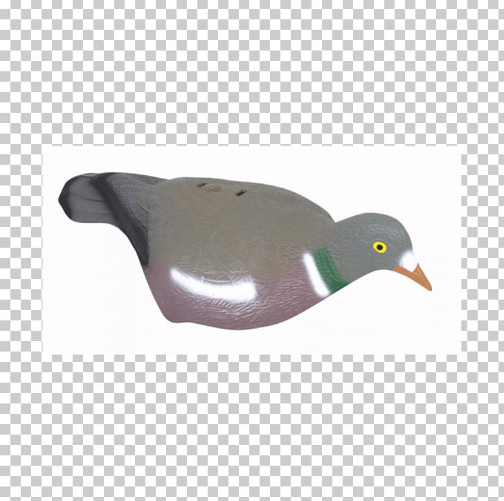 Duck Decoy Duck Decoy Columbidae Hunting PNG, Clipart, Beak, Bird, Columbidae, Crimson Viper, Crow Free PNG Download