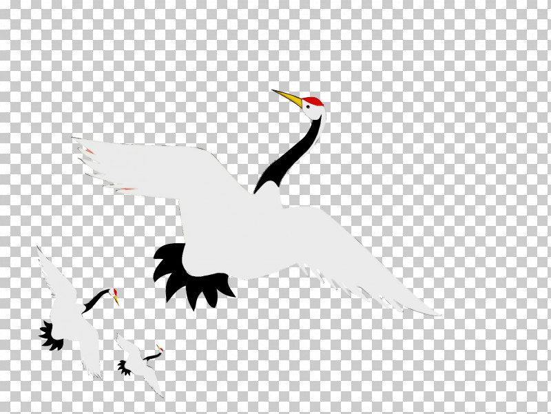 White Stork Ducks Birds Crane Water Bird PNG, Clipart, Beak, Birds, Computer, Crane, Duck Free PNG Download