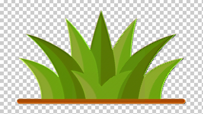 House Plants Icon Grass Icon PNG, Clipart, 3d Computer Graphics, Computer Graphics, Gardening, Grasses, Grass Icon Free PNG Download