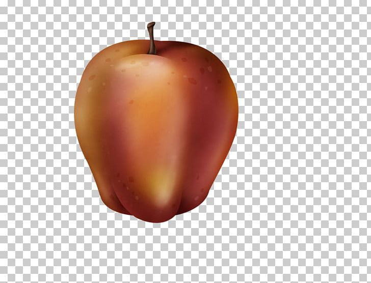 Apple Fruit Auglis PNG, Clipart, Adobe Illustrator, Apple, Apple Fruit, Auglis, Bright Free PNG Download