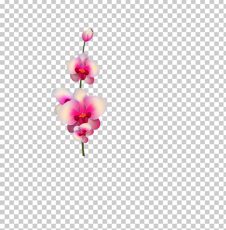 Cut Flowers Magenta Moth Orchids Purple PNG, Clipart, Body Jewellery, Body Jewelry, Cut Flowers, Flora, Flower Free PNG Download