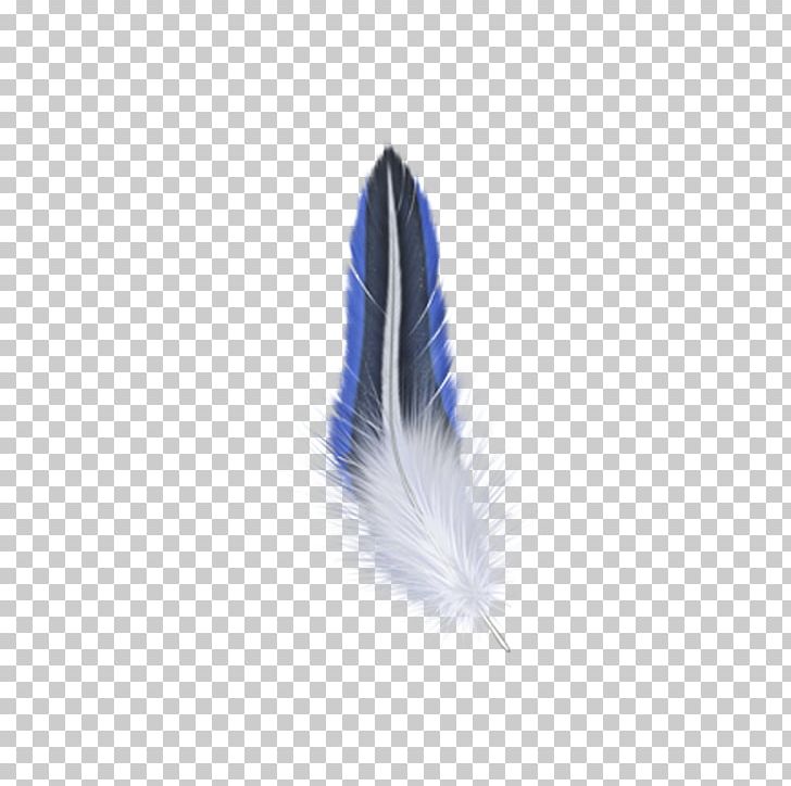 Feather Tapestry Wall Mug Ounce PNG, Clipart, Angel Wing, Angel Wings, Blue, Chicken Wings, Eagle Wings Free PNG Download