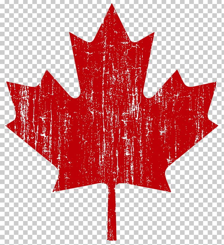 Flag Of Canada United States Thornton Grout Finnigan Maple Leaf PNG, Clipart, Business, Canada, Canadian Olympic Committee, Christmas Ornament, Distress Free PNG Download