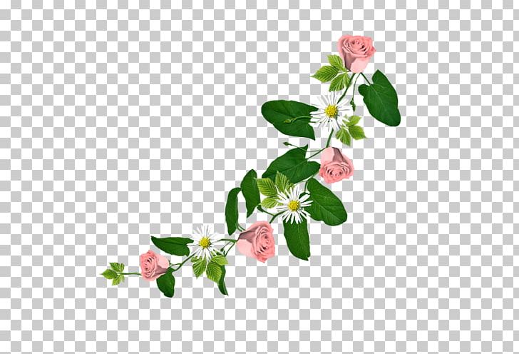 Flower Drawing Portable Network Graphics Floral Design PNG, Clipart, Blossom, Branch, Cut Flowers, Drawing, Floral Design Free PNG Download