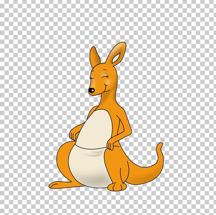 Kangaroo Australia Cartoon PNG, Clipart, Adobe Illustrator, Animal, Animals, Cartoon Kangaroo, Child Free PNG Download