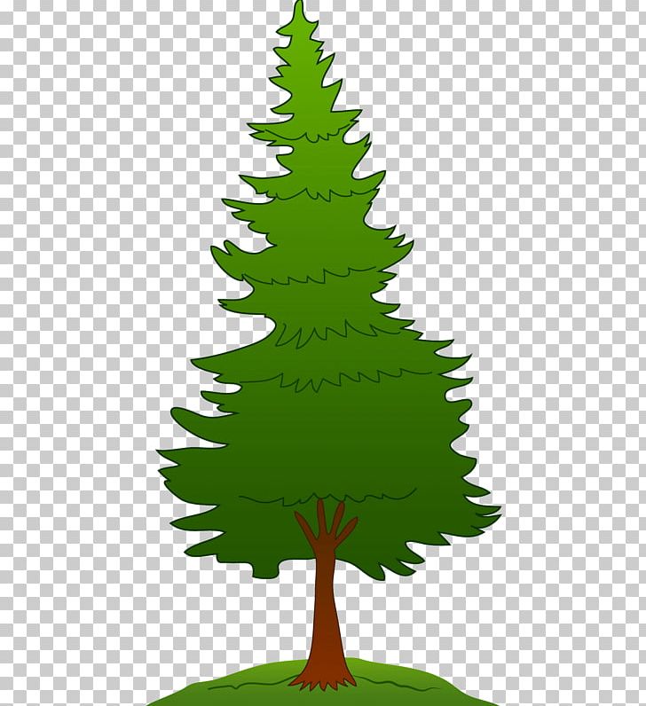 Pine Tree PNG, Clipart, Blog, Branch, Christmas, Christmas Decoration, Christmas Ornament Free PNG Download