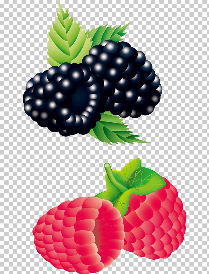 Raspberry Strawberry Blackberry PNG, Clipart, Berry, Blue, Food, Fruit, Fruit Nut Free PNG Download