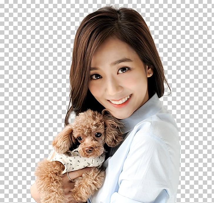 Jisoo BLACKPINK Girl Group YG Entertainment PNG, Clipart, Blackpink, Carnivoran, Child, Companion Dog, Dog Free PNG Download