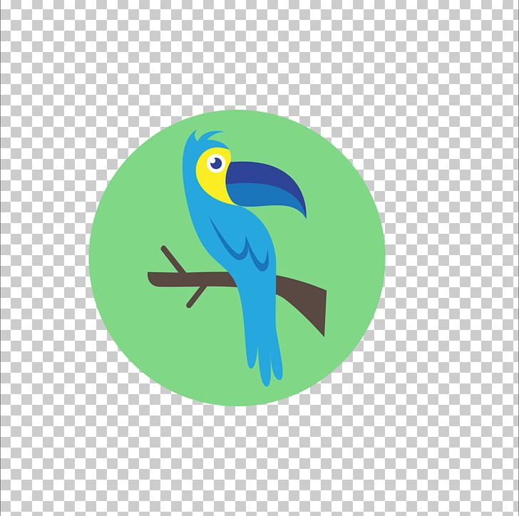Parrot Bird Blue Beak PNG, Clipart, Animal, Animals, Beak, Bird, Blue Free PNG Download
