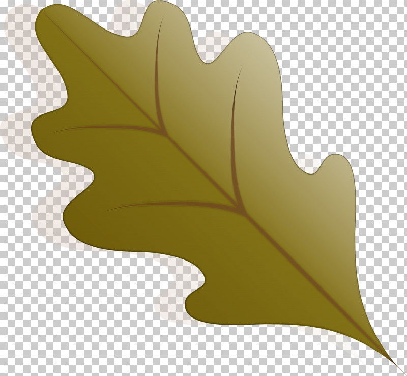 Autumn Leaf Autumn Color PNG, Clipart, Autumn, Autumn Color, Autumn Leaf, Autumn Leaf Color, Branch Free PNG Download