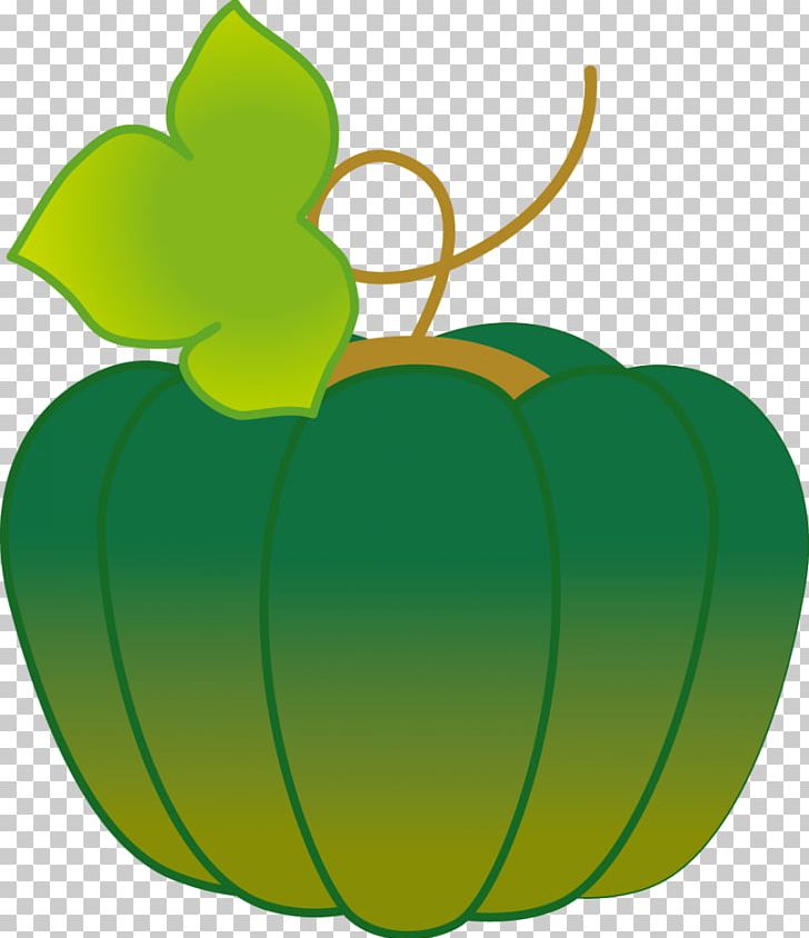 Cucurbita Kabocha Child Care Jardin D'enfants Pumpkin PNG, Clipart,  Free PNG Download