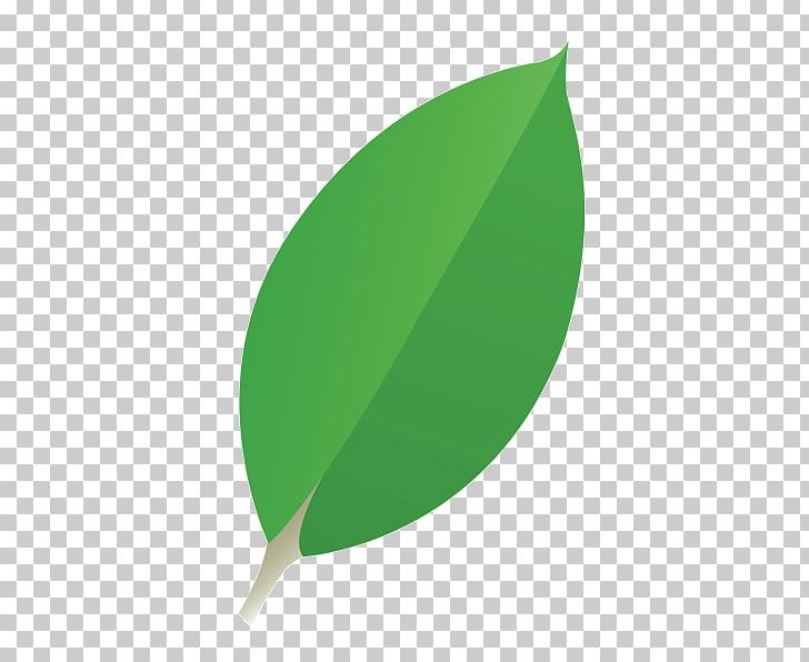 Green Product Design Leaf PNG, Clipart, Grass, Green, Leaf, Plant Free PNG Download