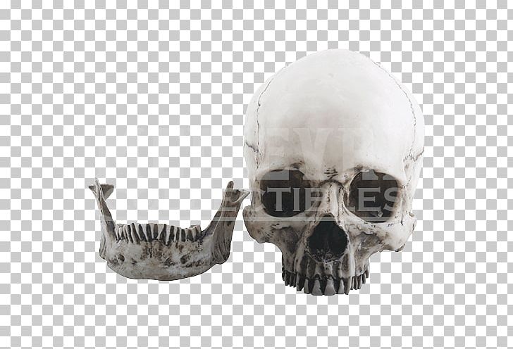 Skull Skeleton Sculpture Figurine PNG, Clipart, Bone, Fantasy, Figurine, Head, Human Skeleton Free PNG Download