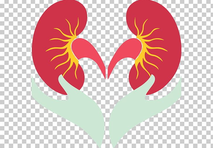 World Kidney Day Kidney Transplantation PNG, Clipart, Chicken, Chronic Kidney Disease Ckd, Disease, Flower, Heart Free PNG Download