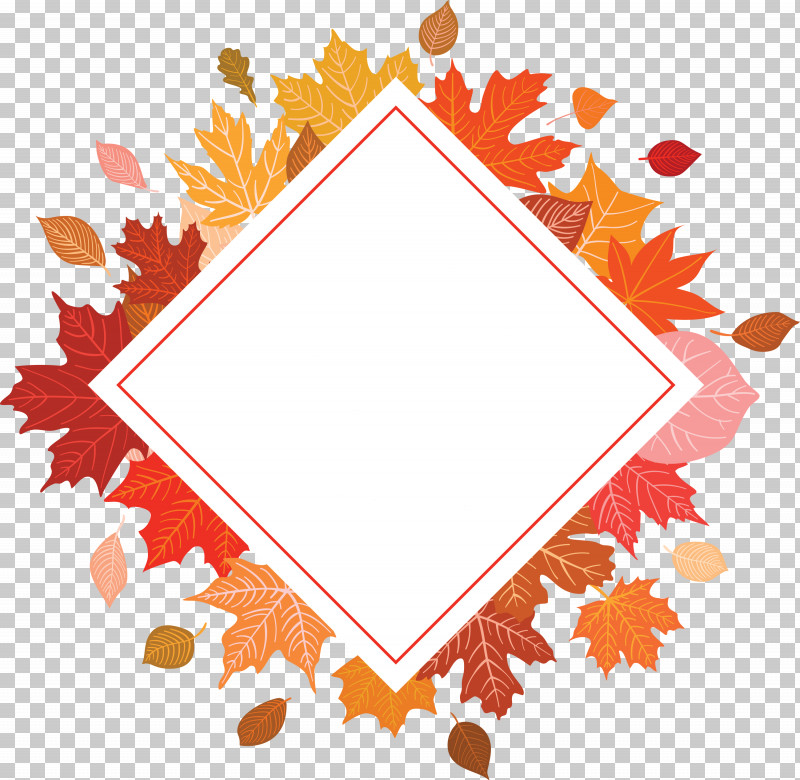 Autumn Frame Autumn Leaves Frame Leaves Frame PNG, Clipart, Area, Autumn Frame, Autumn Leaves Frame, Biology, Leaf Free PNG Download
