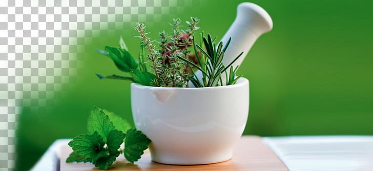 Alternative Health Services Medicine Herbalism PNG, Clipart, Alternative Health, Alternative Health Services, Alternative Medicine, Ayurveda, Cup Free PNG Download