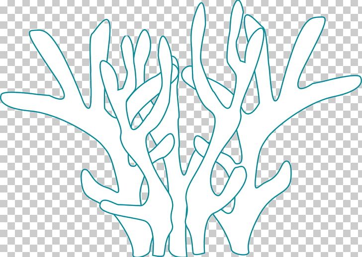 Coral Reef Fish Coloring Book Algae PNG, Clipart, Aquatic Animal, Area, Black And White, Branch, Color Free PNG Download