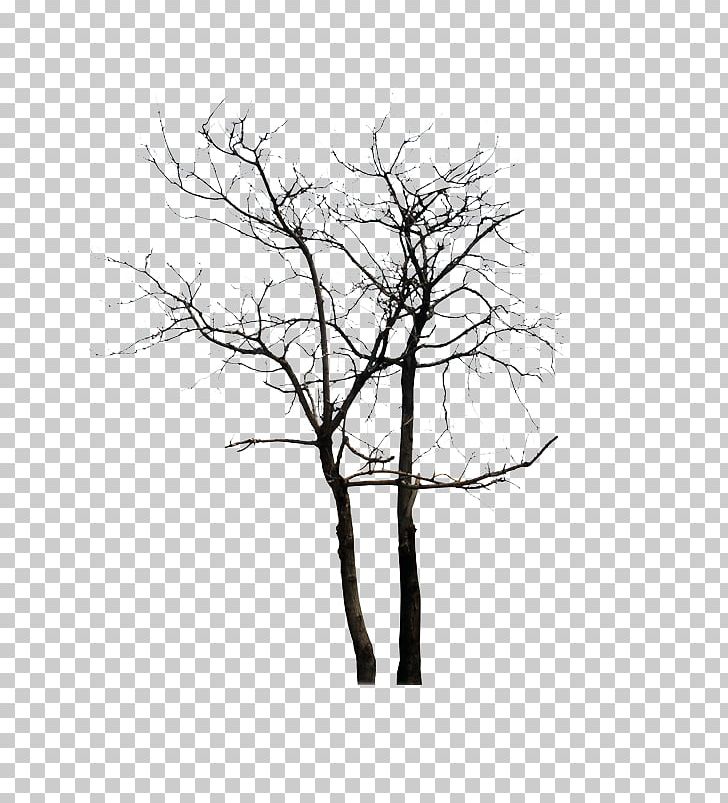 Tree Computer Winter PNG, Clipart, Aparat, Black And White, Branch, Computer Monitor, Computer Wallpaper Free PNG Download