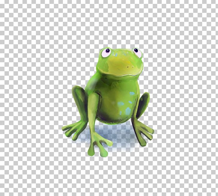 True Frog Tree Frog Toad PNG, Clipart, Amphibian, Animals, Frog, Grenouille, Organism Free PNG Download