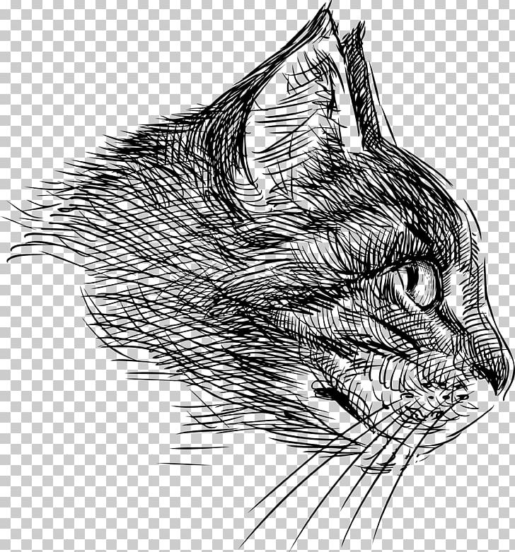 Cat Drawing PNG, Clipart, Animals, Carnivoran, Cat Like Mammal, Claw, Dog Like Mammal Free PNG Download