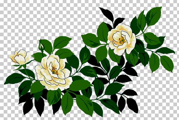 Centifolia Roses Cut Flowers Garden Roses Floral Design PNG, Clipart, 2017, Branch, Centifolia Roses, Champagne, Christmas Free PNG Download