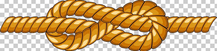 Rope PNG, Clipart, Christmas Decoration, Commodity, Corn On The Cob ...