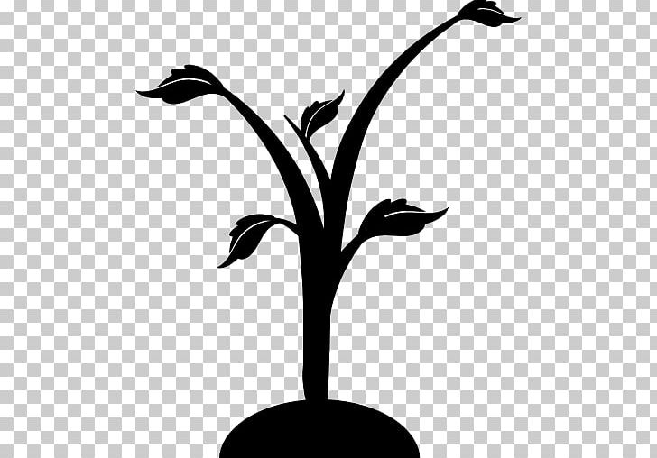 Computer Icons Tree PNG, Clipart, Beak, Bird, Black And White, Branch, Computer Icons Free PNG Download