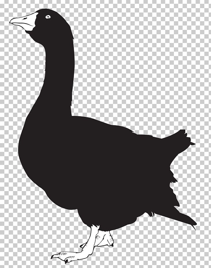 Duck Goose Silhouette Chicken PNG, Clipart, Animal, Animals, Beak, Bird, Black And White Free PNG Download