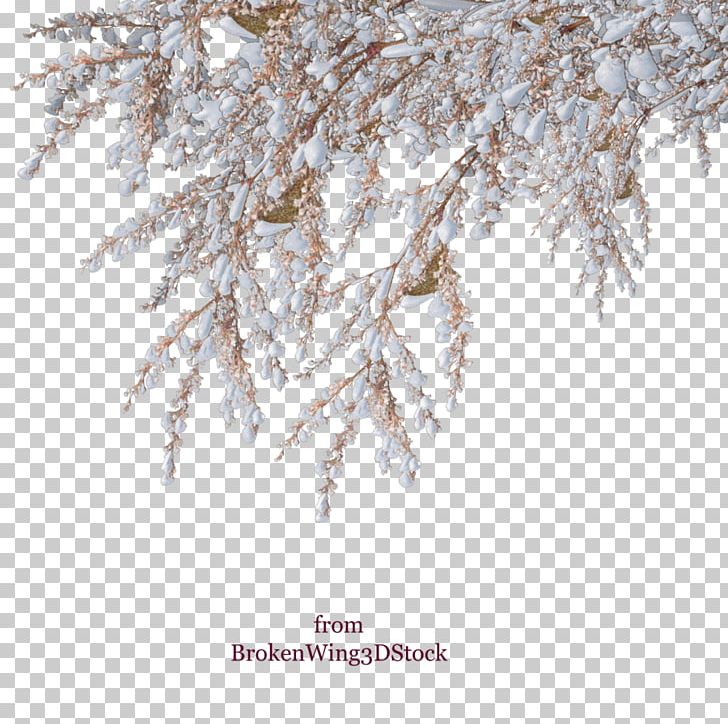 Snow Winter Shrub Tree PNG, Clipart, Branch, Encapsulated Postscript, Freezing, Frost, Nature Free PNG Download