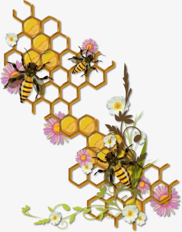 Bee Hive PNG, Clipart, Animal, Bee, Bee Clipart, Bee Clipart, Collecting Free PNG Download