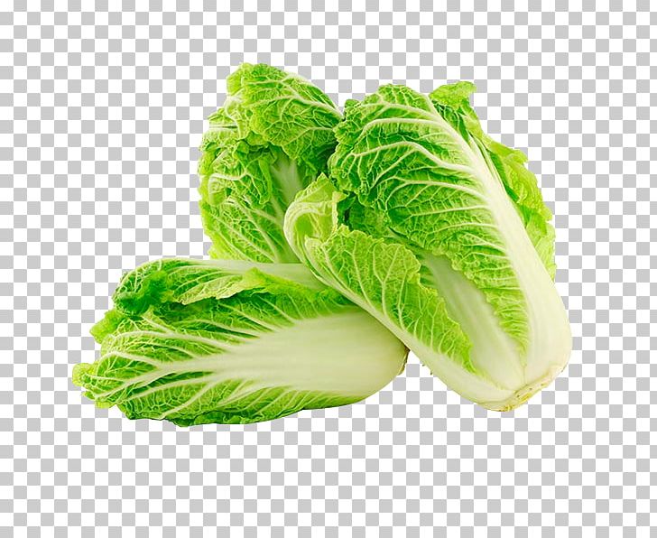 Chinese Cuisine Napa Cabbage Chinese Cabbage Vegetable PNG, Clipart, Brassica, Brassica Rapa, Broccoli, Cabbage, Cauliflower Free PNG Download