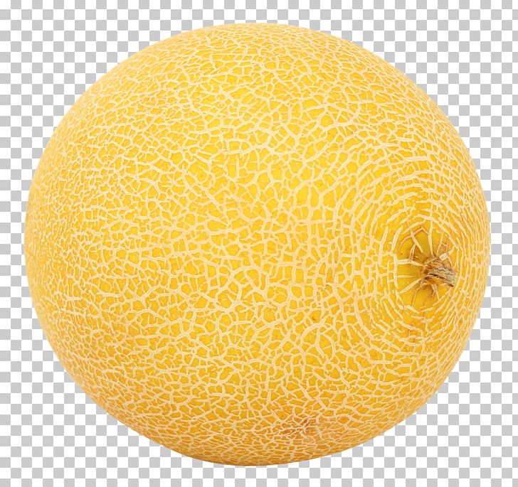 Honeydew Cantaloupe Galia Melon PNG, Clipart, Cantaloupe, Circle, Citrus Junos, Commodity, Cucumber Free PNG Download