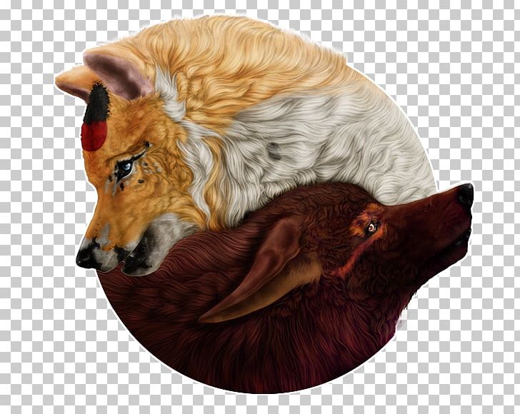 Red Fox Dog Fur Snout PNG, Clipart, Animals, Carnivoran, Dog, Dog Like Mammal, Fox Free PNG Download