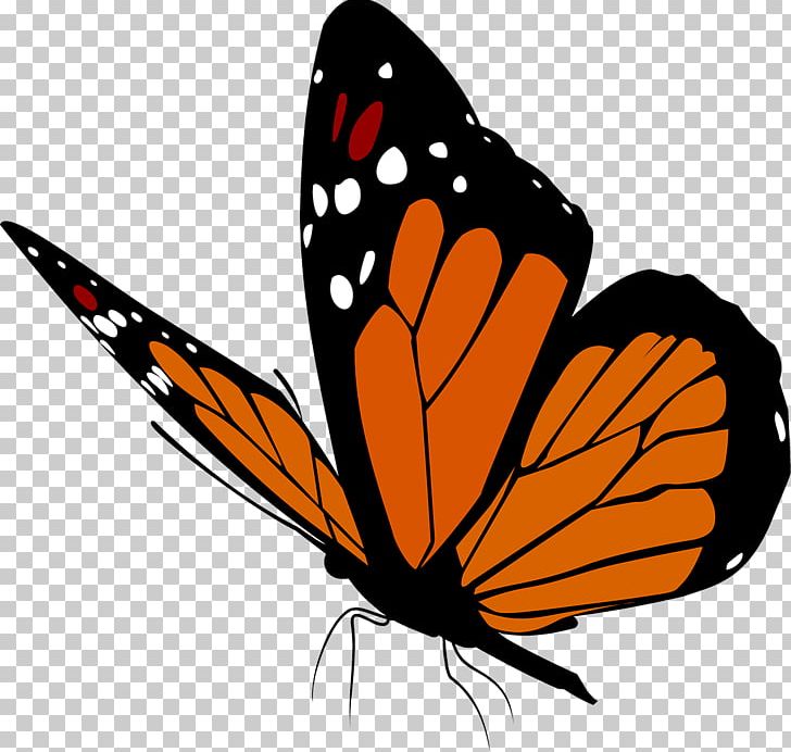 Butterfly Insect PNG, Clipart, Arthropod, Artwork, Brush Footed Butterfly, Butterflies, Butterflies And Moths Free PNG Download
