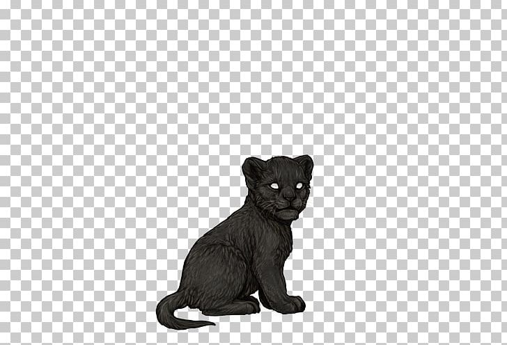 Whiskers Black Cat Fur Snout PNG, Clipart, Animal Figure, Animals, Big Cats, Black, Black Cat Free PNG Download
