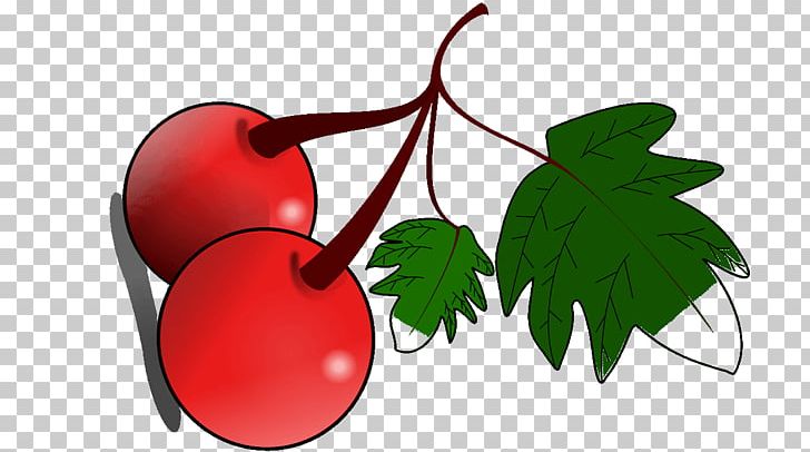Cherry Fruit PNG, Clipart, Cartoon, Cherry, Cherry Leaf Spot, Flower, Flowering Plant Free PNG Download